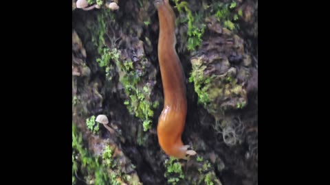 Weather in northeast ohio.