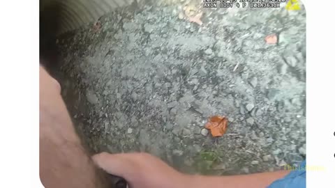 Missing 5-year-old with autism rescued from sewer drain