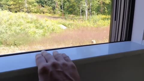 Stunning kitchen and backsplash!