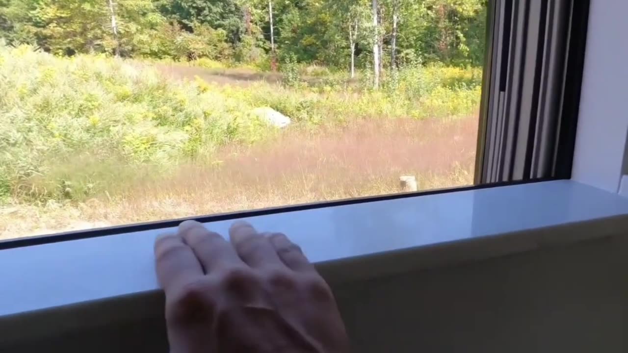 Stunning kitchen and backsplash!