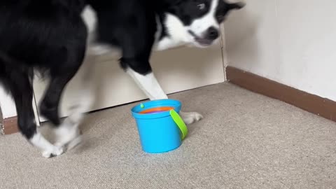 Simba Finds Stacking Cups Too Easy