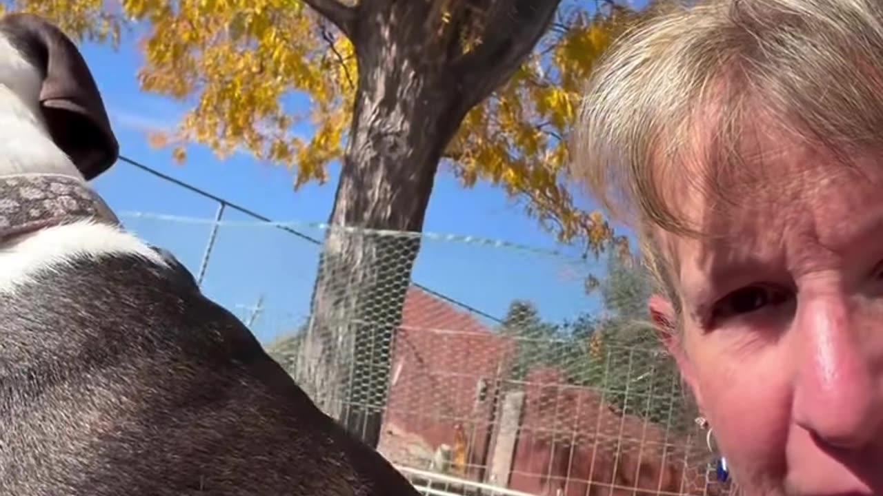 Hard pill to swallow