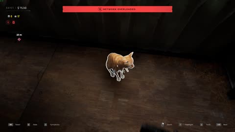 Quarantine Zone: The Last Check - Pet the cat and test other things