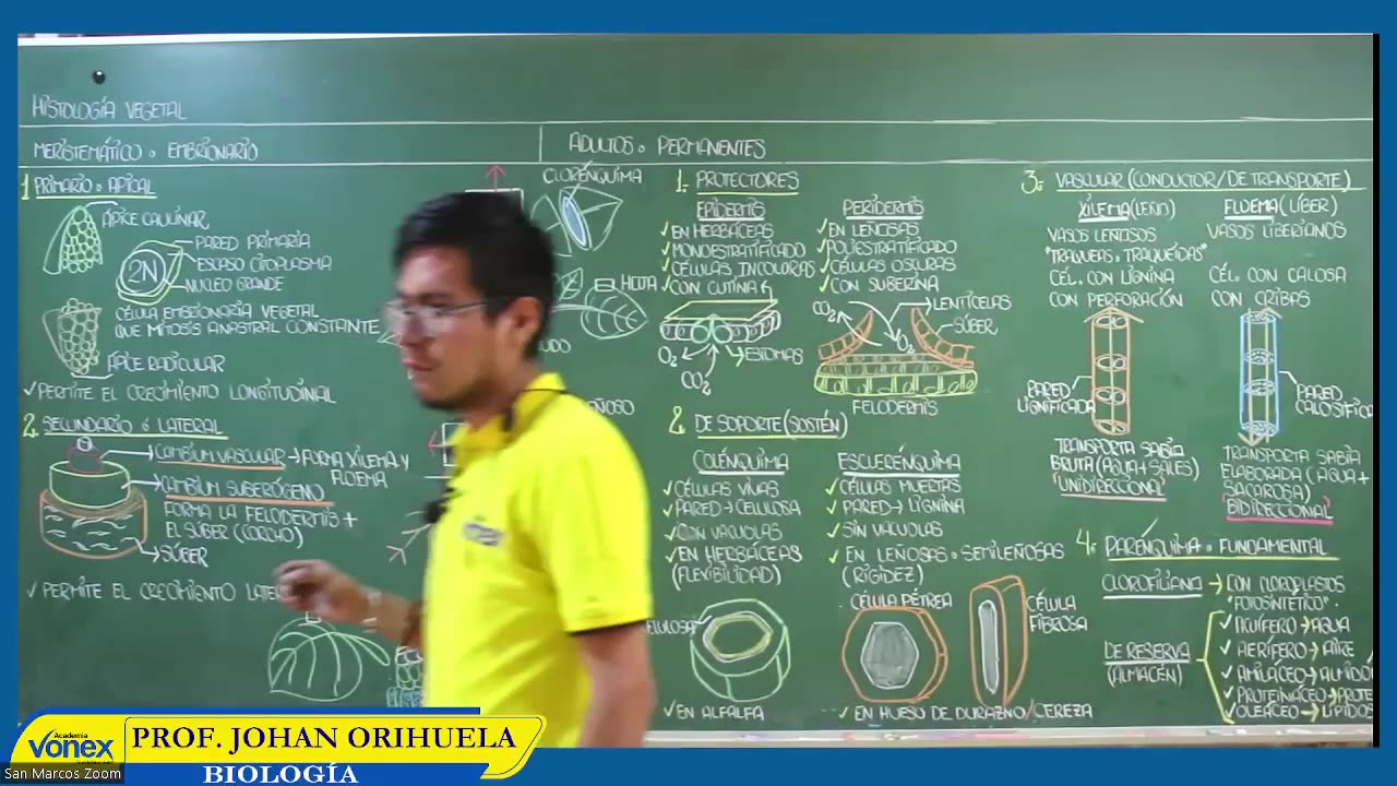 VONEX SEMIANUAL 2023 | Semana 17 | Biología S1