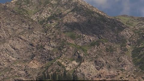 Daily Horoscope | Capricorn 🌟