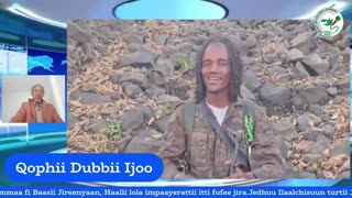 Qophii Dubbii Ijoo ONM-ABO Sadaasa 2-2025 itti dhiyaadhaa!