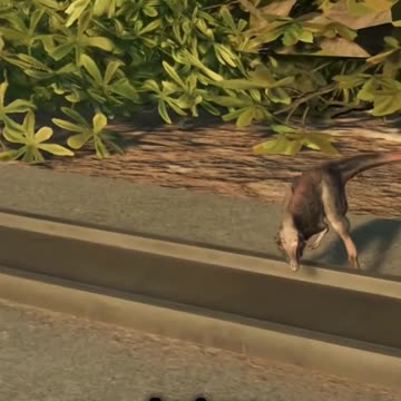 Moros: The Tiny Tyrant That Changed Dinosaurs