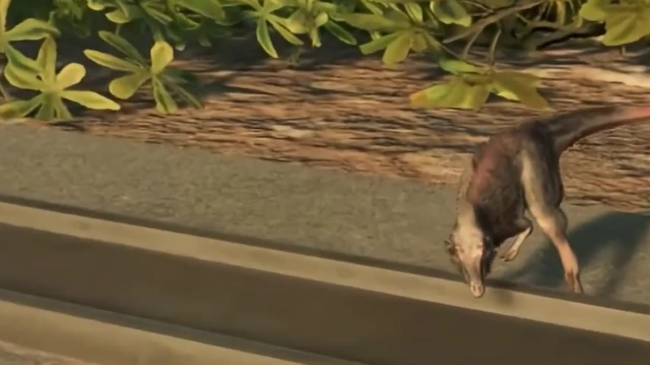 Moros: The Tiny Tyrant That Changed Dinosaurs