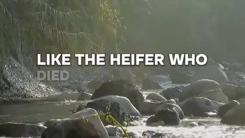 Deuteronomy 21 Verses 1-2