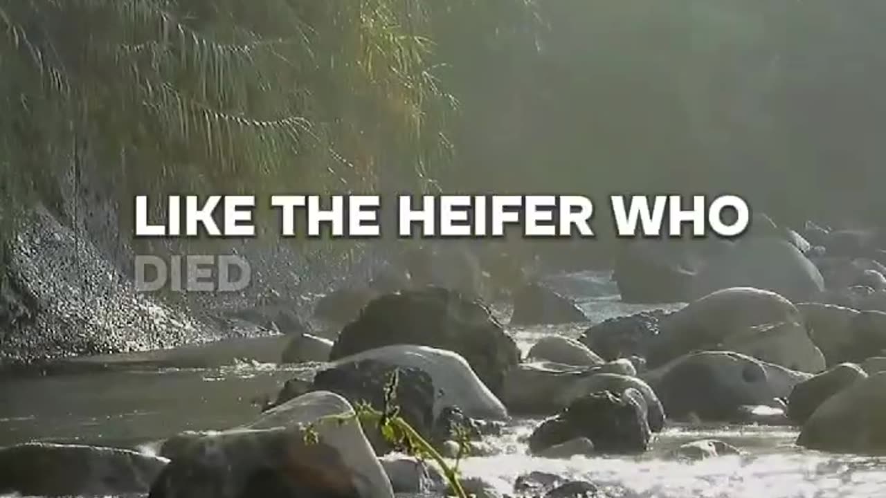 Deuteronomy 21 Verses 1-2