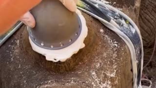 Kind people help a rhino following a dehorning procedure!