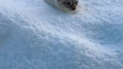 I will clear a path for you 🙏😊