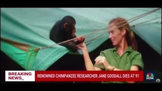 Renowned chimpanzee researcher Jane Goodall dies at 91