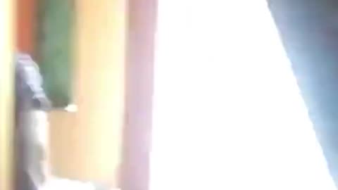 Liberal German family who took in fake Islamic asylum seeker now wants to kick him out but