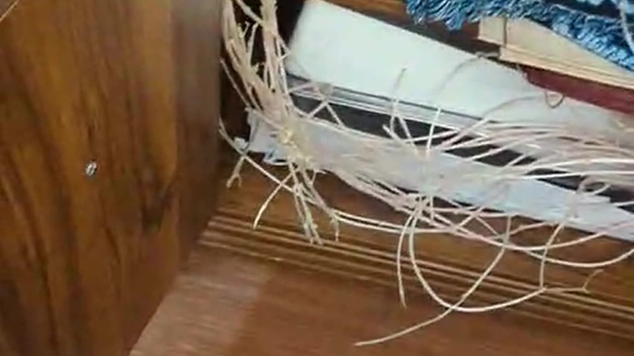 Bryan Forgot to Plant the Potatoes