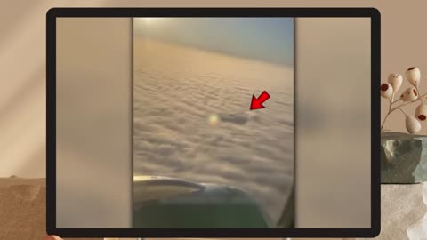 YOU WONT WANT TO MISS THESE UFOs and FREAKS IN THE WOODS