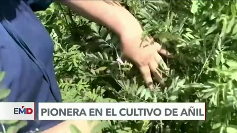 #ElMundoAlDía | Historias de MIGRANTES que han cambiado VIDAS en medio del RETO MIGRATORIO
