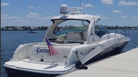 41' SeaRay - Boat Rental in Naples, Florida🐙​🐚​🐬