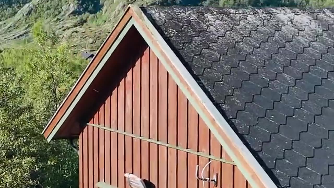 The Secret North Carolina Gyms & Airbnbs Are Using to Explode Retention & Revenue (Cold Plunge)