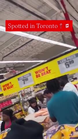 Toronto loves her niggers! 🐒🐒🐒🤬😒