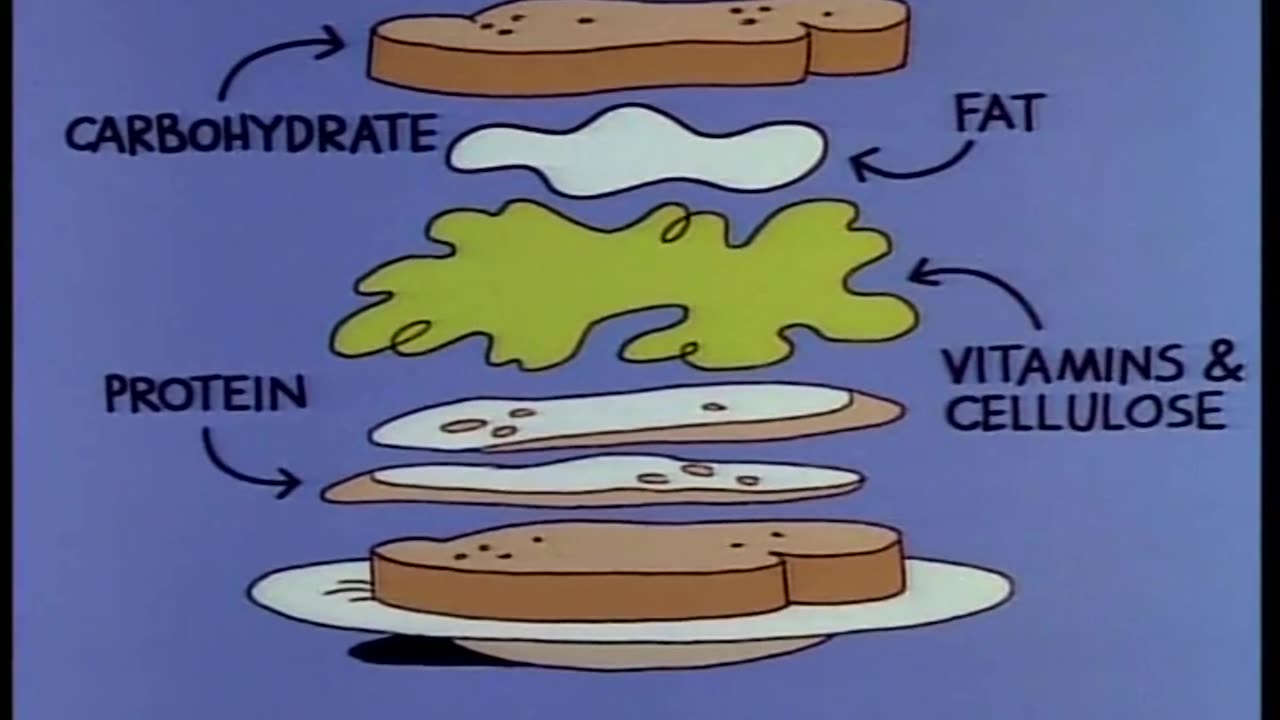 The Body Machine | Schoolhouse Rock