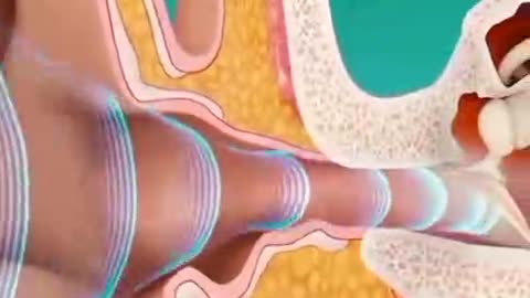 Don't listen to the lies it's probably a expensive magic potion that doesn't work