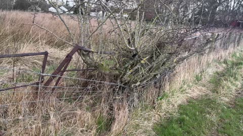 Fence stretch