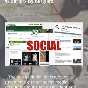 Fact Check: NO Evidence Penguins At San Diego Zoo Were Dressed Up As Surfers By Burglars