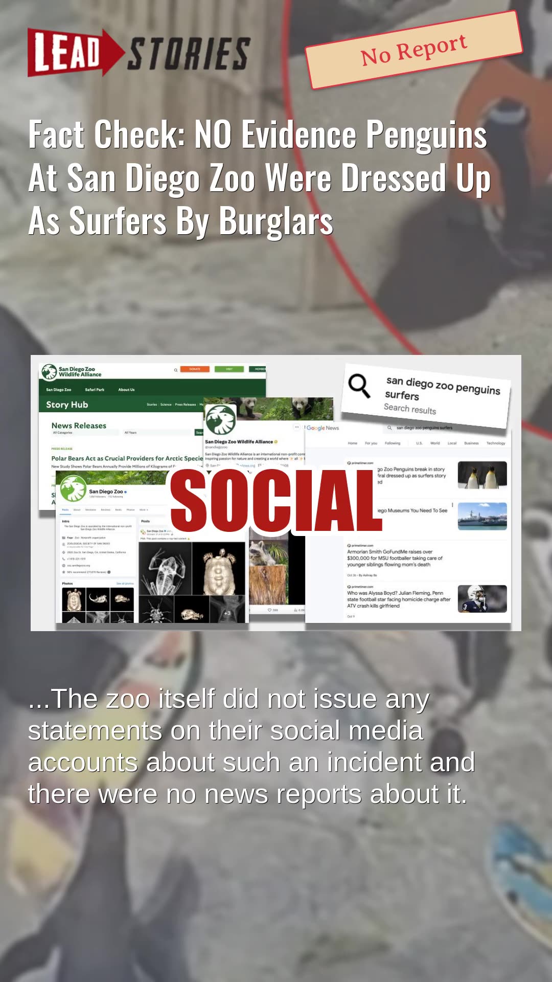Fact Check: NO Evidence Penguins At San Diego Zoo Were Dressed Up As Surfers By Burglars