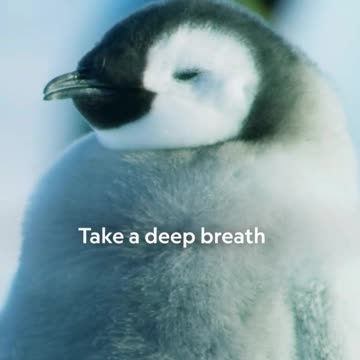 Take a deep breath and decompress as Christmas approaches