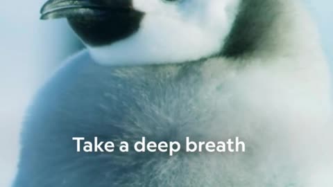 Take a deep breath and decompress as Christmas approaches