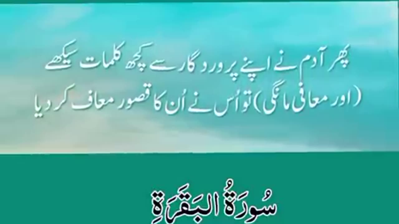 Beshak 💯♥️✨🕊️