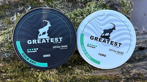 Greatest (Brand) Nicotine Pouches Review