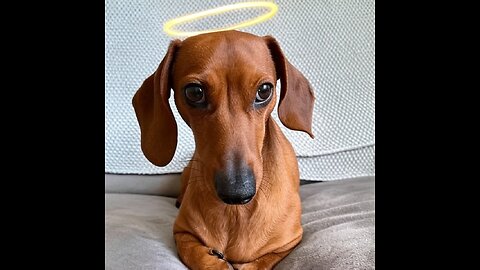 How to stay away from silly people ep 3