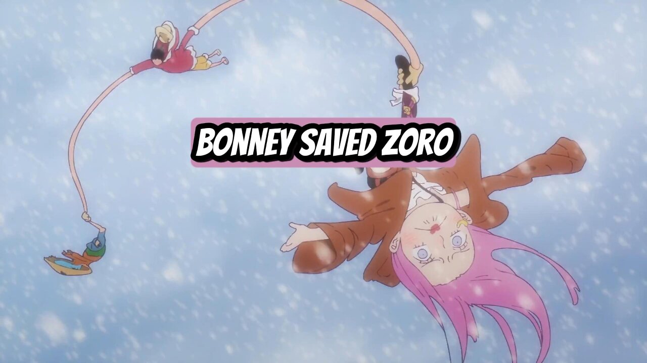 Bonney Saved Zoro.