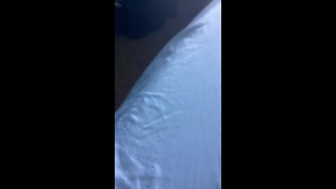 Peabrain moment