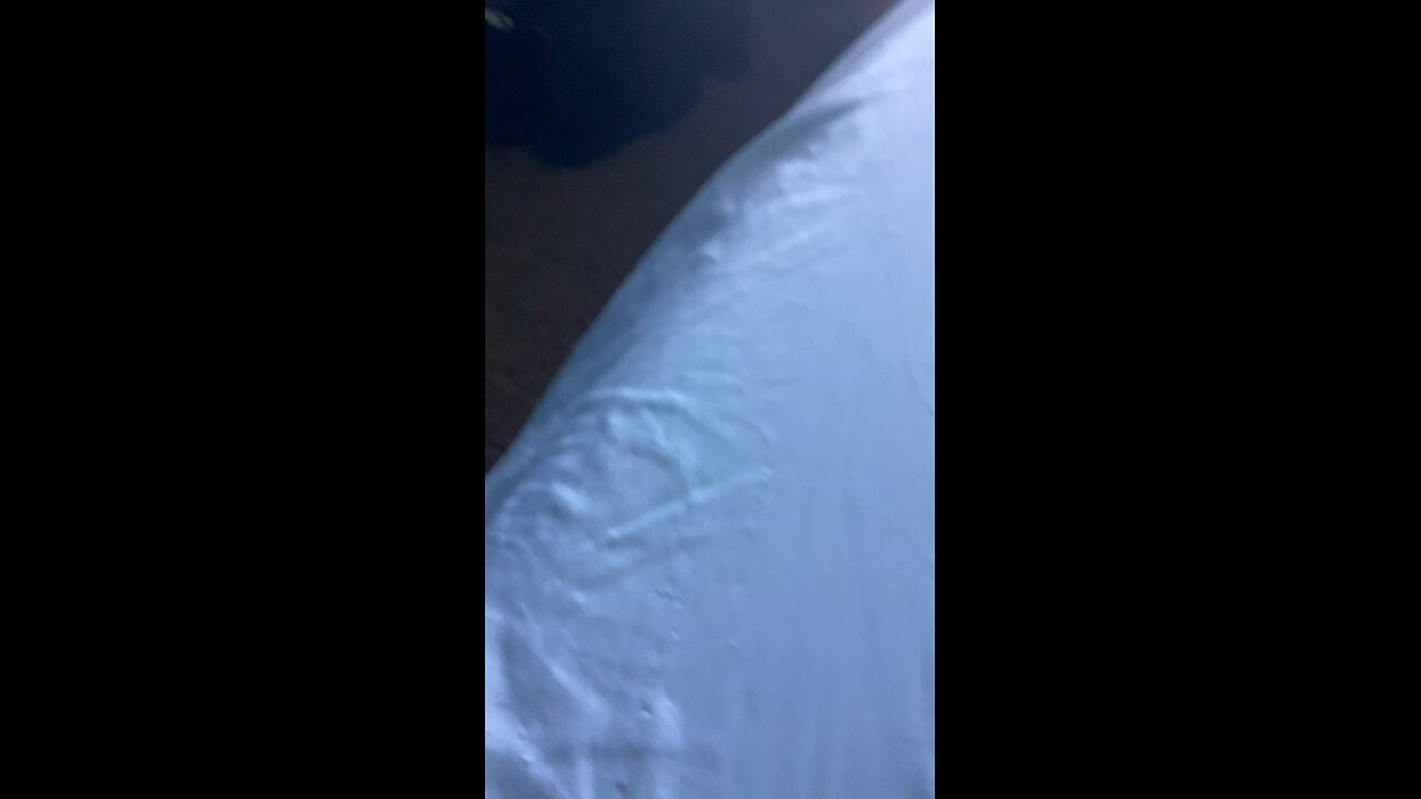 Peabrain moment