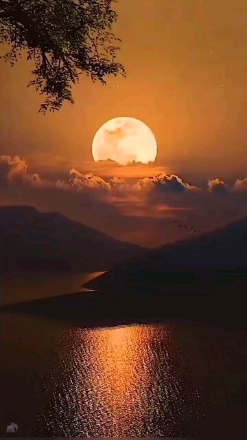 Difference betwe. En time and money