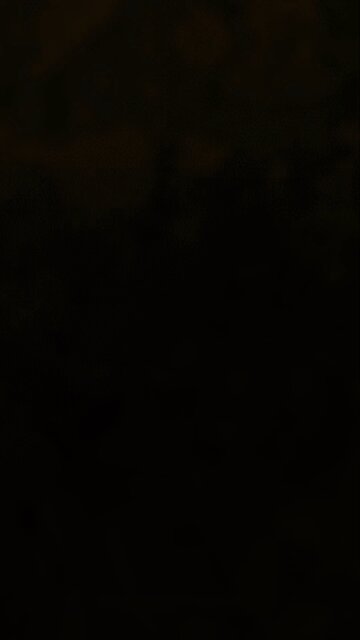 |Make it a Terrific Tuesday |