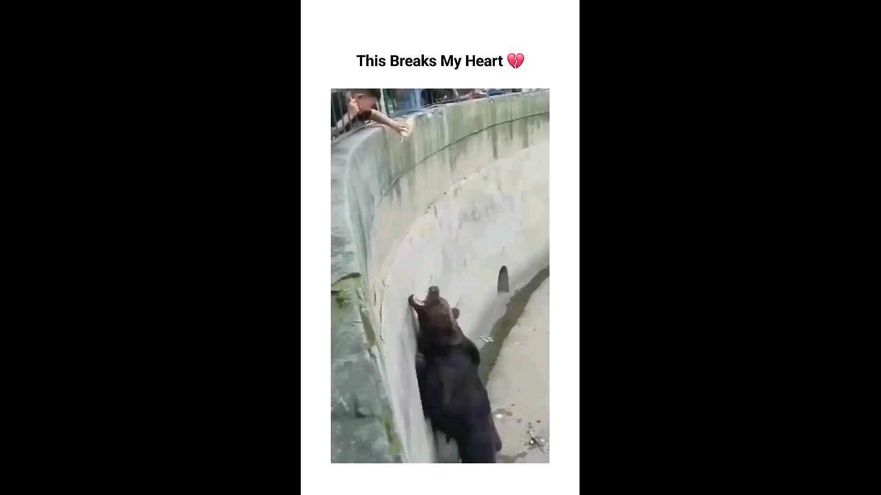We don't deserve animals 💔🙂