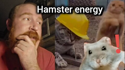 Hamster energy