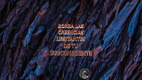 BORRA LAS CREENCIAS LIMITANTES DE TU SUBCONSCIENTE