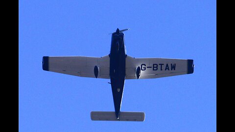 Trevor John Parish a winged flying Monkey