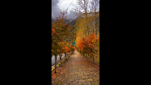 #foryoupage#viralvideo