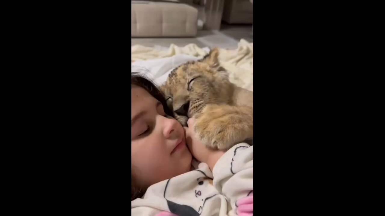 Adorable Baby Girl Sleeping with a Lion Cub – Heartwarming Moments!