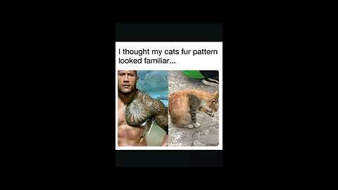 “When Life Gives You Funny Mood | Ultimate Meme Shorts” #FunnyMemes #MemeShorts #ViralVideo