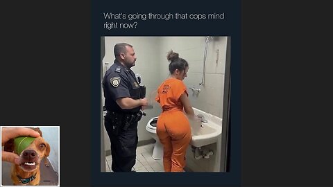 Memes That Will 99.0459% Make You Laugh. (e683)