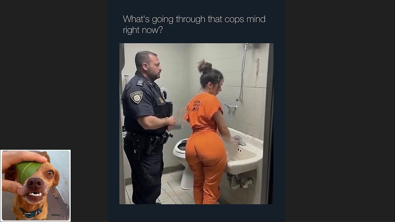 Memes That Will 99.0459% Make You Laugh. (e683)