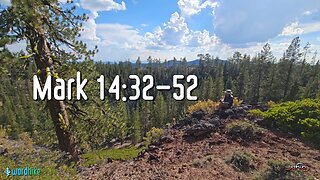 Mark 14:32-52, Bible Reading in Nature, BSB
