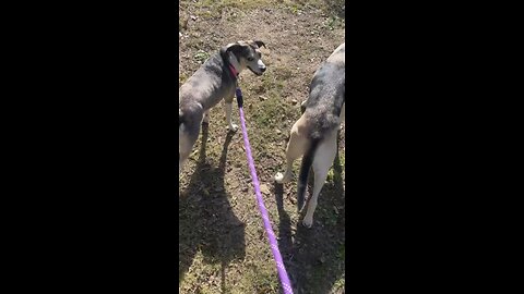 Don’t be a jackass.